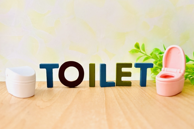 トイレ詰まりに使えるワイヤーブラシ徹底解説！選び方と注意点