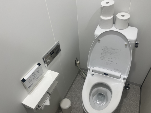 バリウムがトイレで流れないときの原因と対策を徹底解説
